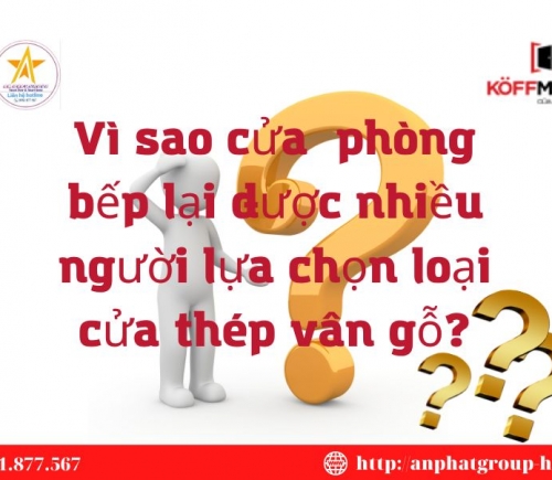 Vì Sao Cửa  Phòng Bếp Lại Được Nhiều Người Lựa Chọn Loại Cửa Thép Vân Gỗ?